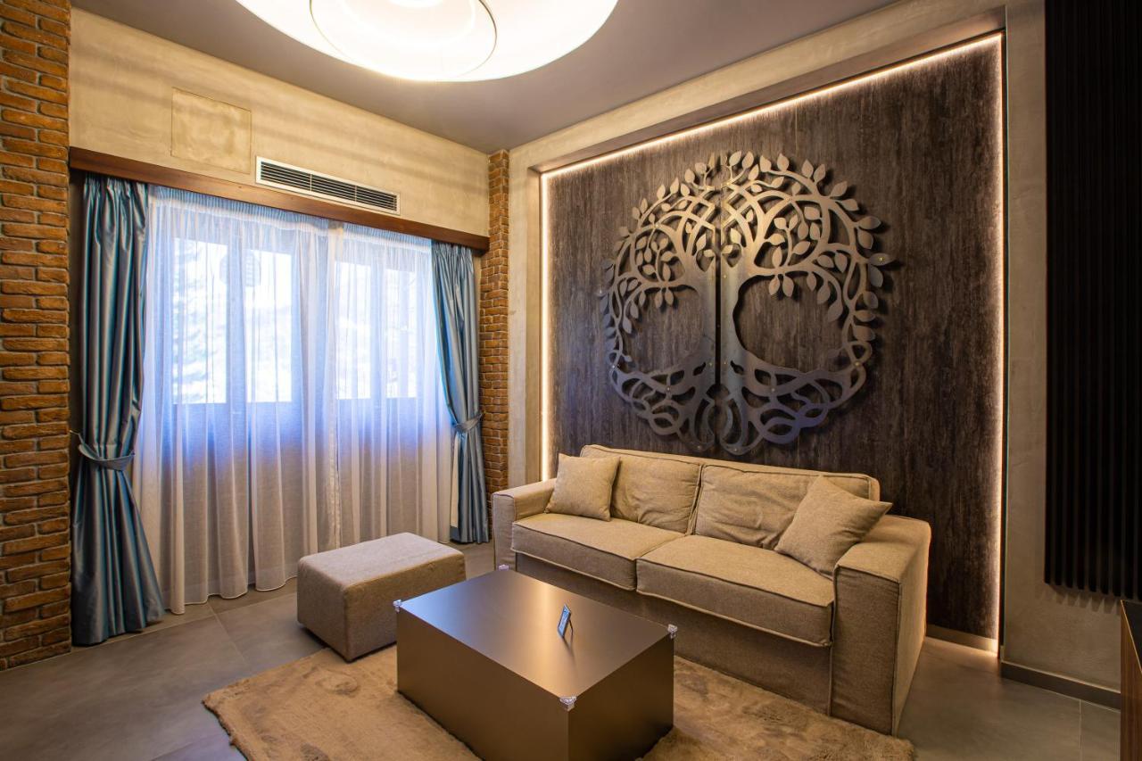 Adryades Luxury Apartments Metsovo Buitenkant foto