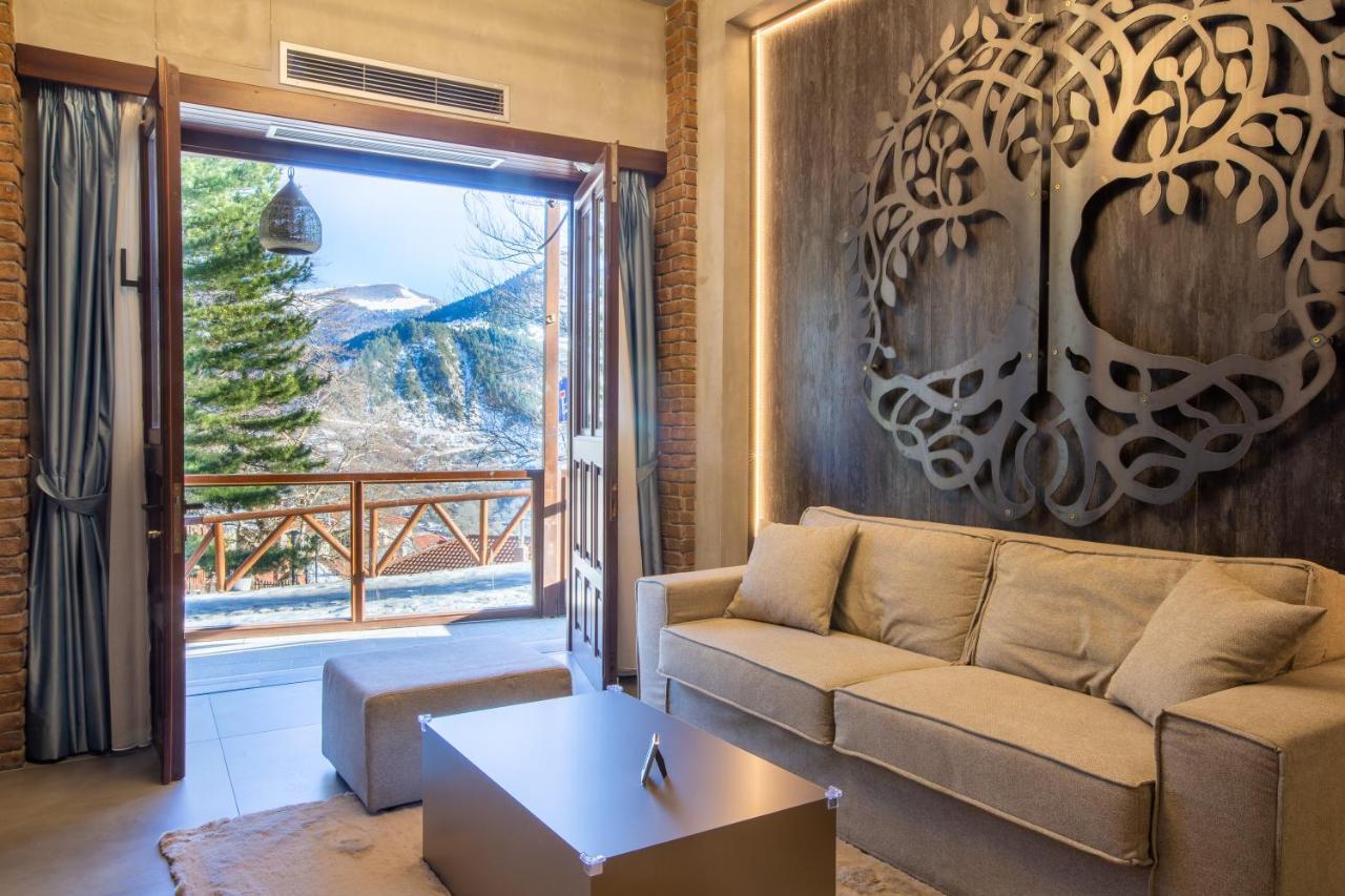 Adryades Luxury Apartments Metsovo Buitenkant foto