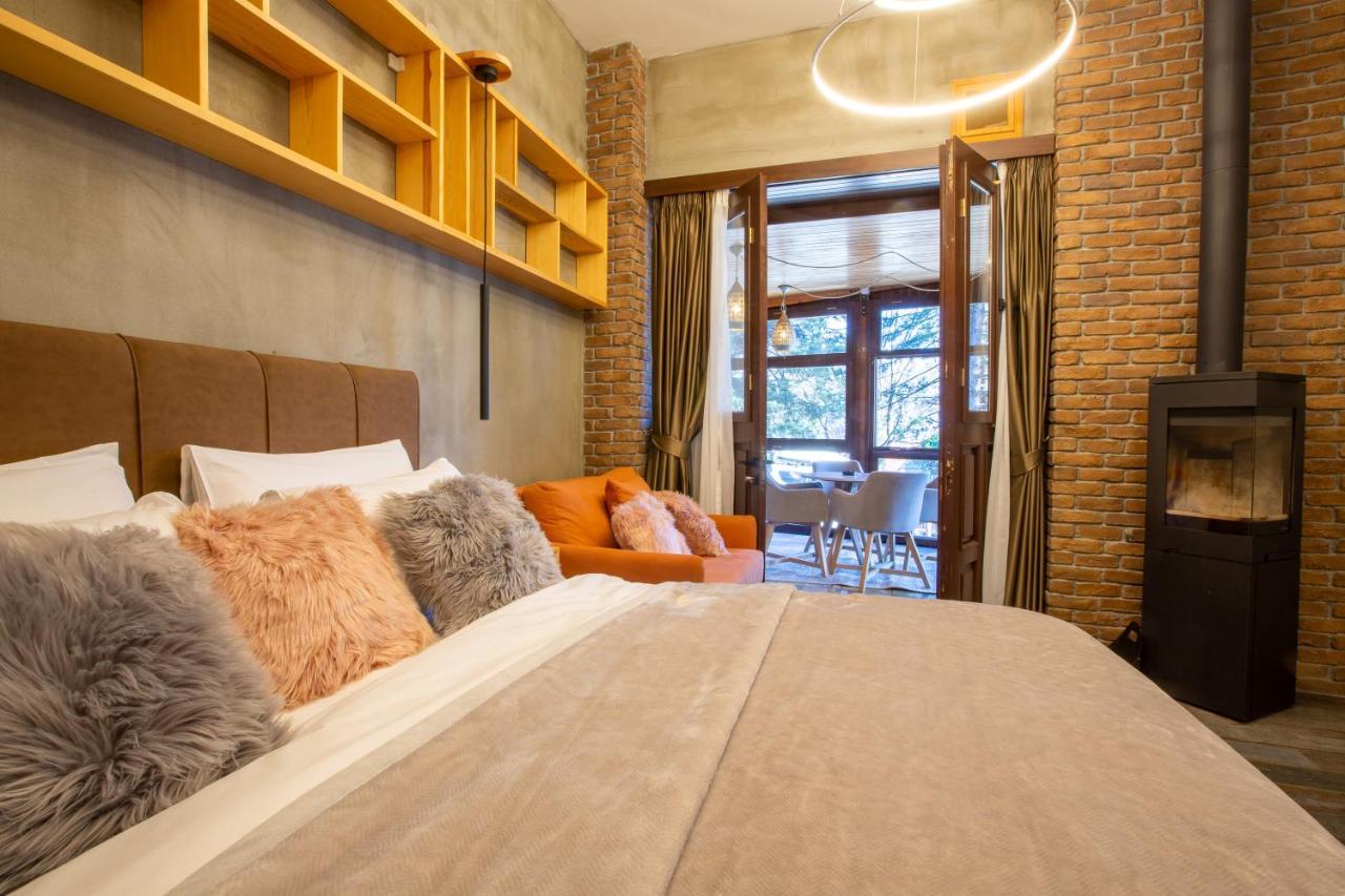 Adryades Luxury Apartments Metsovo Buitenkant foto